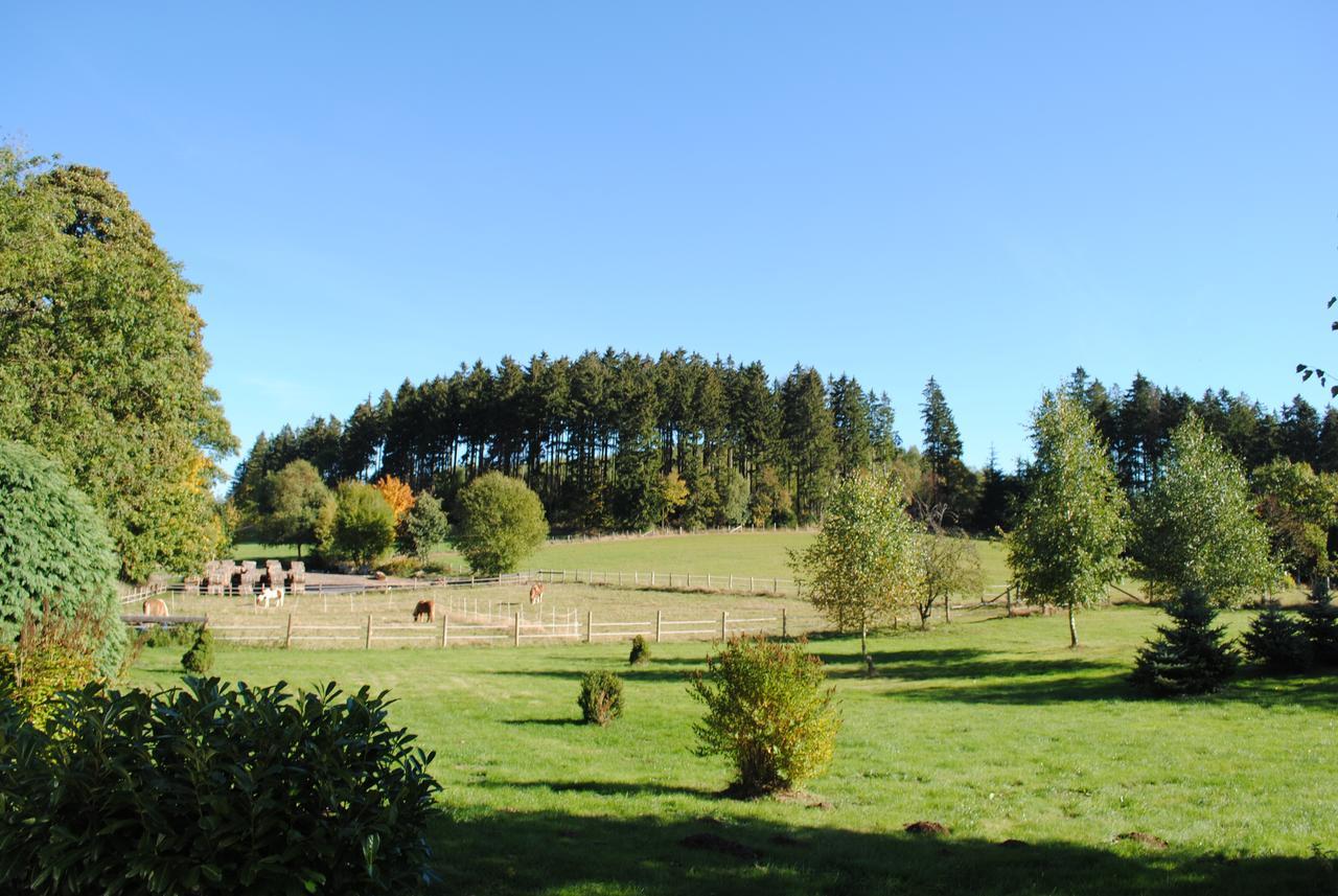 Landgasthof Gruss Брилон Екстериор снимка