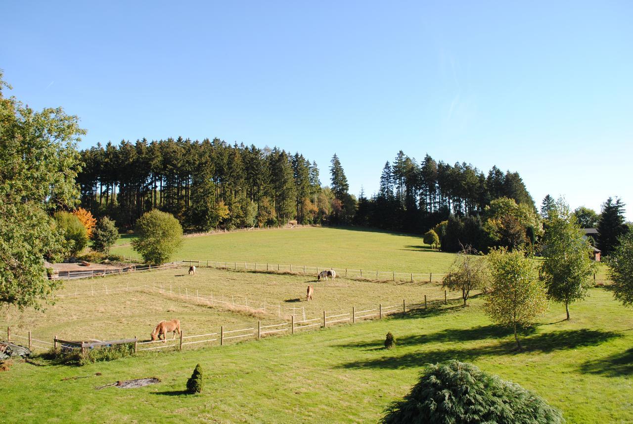 Landgasthof Gruss Брилон Екстериор снимка