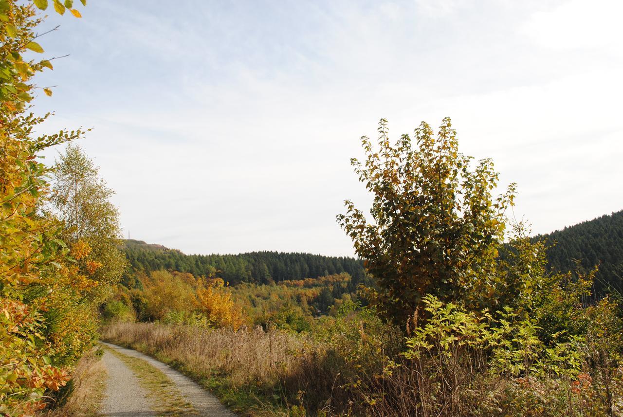 Landgasthof Gruss Брилон Екстериор снимка